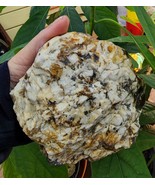 big white raw Quartz crystal Rock rough stone 3lbs 8 oz quartzite fish t... - £23.97 GBP