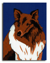Collie Decorative Banner - $223.53 MXN