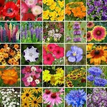 From Usa Southeast Wildflower Mix 25 Species Flower Gardening Usa Non-GMO 500+ S - £3.18 GBP