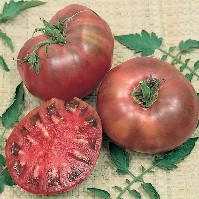 KS Cherokee Purple Tomato Non Gmo Organic Planting 30 Seeds  - £7.72 GBP