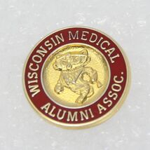 University of Wisconsin Medical Alumni Pin Goldtone 3/4&quot; Diameter  Badgers - $12.73