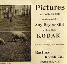 Kodak Camera Pictures 1894 Advertisement Victorian Photography Sheep 1 ADBN1bb - £11.98 GBP