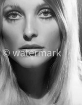 Sharon Tate Vintage ⭐Hollywood⭐ 1960s -  8X10 PUBLICITY PHOTO -  Celebrities - £7.64 GBP