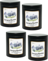 Mainstays 8oz Scented Candle 4-Pack (Evergreen Mountain) - £17.36 GBP