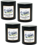 Mainstays 8oz Scented Candle 4-Pack (Evergreen Mountain) - £17.14 GBP