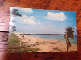 Vintage 1960 Palm Beach Pier Florida FL Vacation Ocean Palm Tree Color P... - $18.99