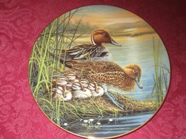 Pintail Duck Collector Plate Bruce Langton Bradford Exchange Water Birds Ducks - £11.98 GBP