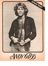 Andy Gibb  teen magazine pinup clipping shirtless bulge hands on his bel... - $3.00