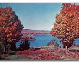 Generic Scenic Greetings Your Town And State Dealer Card UNP Chrome Post... - $3.91