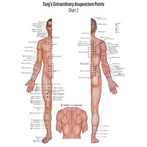 Akupunkturtafel Chart 2 Tung&#39;s Extraordinary Acupuncture Points on the regular c - £7.08 GBP