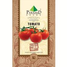 Pyramid Large Red Paste Hybrid Tomato Seeds 600mg, 200 Seeds - $11.40