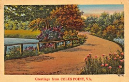 COLES POINT VIRGINIA~WESTMORELAND COUNTY-GREETINGS FROM~1945 PMK POSTCARD - £7.47 GBP