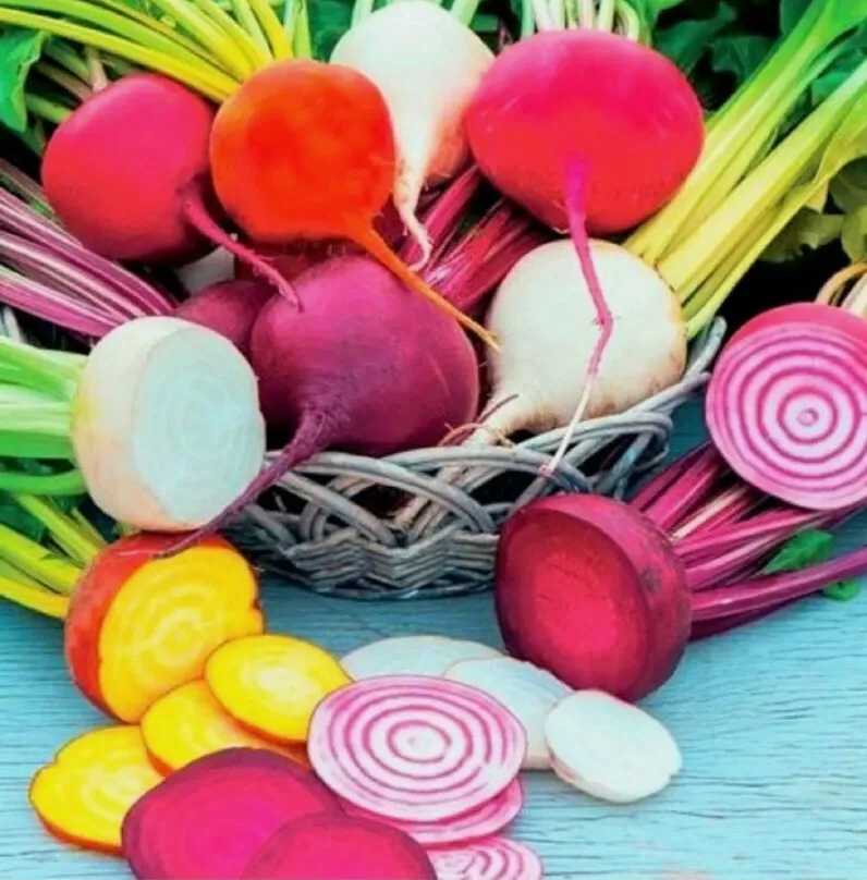 SYST 20 Seeds Rainbow Blend Beet Non Gmo - $9.00