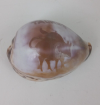 Hand Carved Tiger Cowrie Sea Shell With Taurus bull 3&quot; - $7.75
