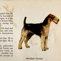 Airedale Terrier 1939 Dog Breed Art Ole Larsen Color Plate Print Antique... - $29.99