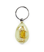Crab Keychain Ring Glow In Dark Real Sea Creature Genuine  Key Chain Key... - $183.98 MXN