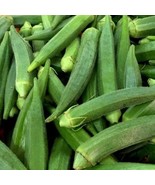 Okra Clemson Spineless Seeds 50 Ct Vegetable - $8.98