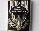 POW MIA YOU ARE NOT FORGOTTEN LAPEL HAT PIN BADGE 1 INCH - $5.64