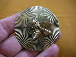 (b-bee-212) Flying bee hornet bug insect round brass pin pendant Go hornets - €16,79 EUR