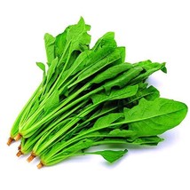 300 Seeds Spinach Seeds Spinacia Oleracea Spinage Organic - $4.08