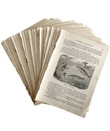Lot Of 90 1887 Sea And Land Ephemera Pages Wood Engravings Victorian Art... - £47.17 GBP