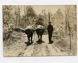 Pair of Water Buffalo Being Led Down Dirt Road Photo 1920s - $21.78