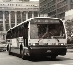 Chicago Transit Authority CTA Bus #4585 Route 20 Michigan Photo  1995 - £7.58 GBP