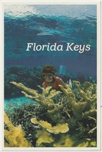 Florida Keys Snorkeling Vintage Postcard Stamped But Not Postmarked 1993 - £2.75 GBP