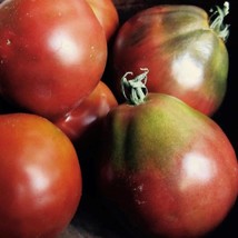 USA Seller Black Truffle Tomato Seeds Organic - $3.96