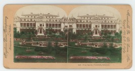 c1900&#39;s Hand Tinted Real Photo Stereoview Palm Garden Frankfort, Germany - £9.63 GBP