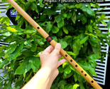 Pro-Level Vietnamese Bamboo Flute – Crafted from Finest Northern Bamboo,... - $50.00+