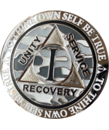 1 Year AA Medallion Recoverychip Reflex Winter Camo Sobriety Chip Coin - $15.99
