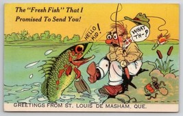 Greetings From St Louis De Masham Quebec The Fresh Fish Hello Kid Postcard M29 - £7.95 GBP