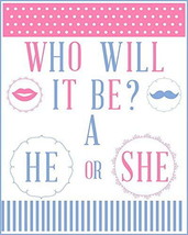 1/4 Sheet - Gender Reveal Baby Shower He or She- Edible Icing Image - $266.44 MXN