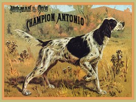 8963.Decoration Poster.Home room design decor print.Pointer dog Antonio.Champion - £12.65 GBP+