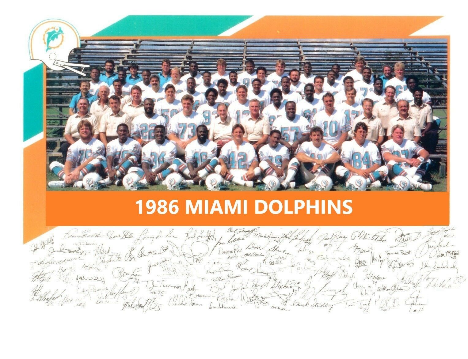 Primary image for 1986 MIAMI DOLPHINS 8X10 TEAM PHOTO PICTURE NFL FOOTBALL