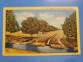 Vtg Linen Postcard Irrigated Orange Grove, California, West Coast - £3.14 GBP