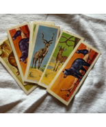 Lot of 21 Sugar Daddy Animal Trading Cards 1960s~RARE - $49.45