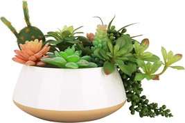 La Jolie Muse Large Succulent Planter Plant Pots, Ceramic Indoor Outdoor... - £27.17 GBP
