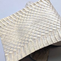 Snake Skin Leather Sankeskin Real Cobra Hide Gold Brushed White - $11.87+