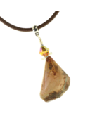 Arizona Petrified Wood Artisan Faceted Stone Necklace Leather Cord Past ... - $23.05 CAD