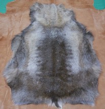 Reindeer Skin from Scandinavia Size: 50&quot; X 35&quot; Genuine Reindeer Skin D-766 - £131.02 GBP