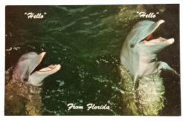 Miami Seaquarium Porpoises Dolphins Hello Florida FL UNP Koppel Postcard c1970s - £4.77 GBP