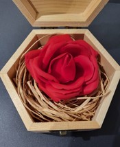 Bamboo Bride Forever Preserved Flower Never Withered Roses Valentines Gift - $6.22