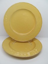 Pier 1 Mango Yellow Set Of 2 Rustic 10 3/4&quot; Dinner Plates VGC - £23.12 GBP