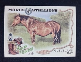 2019 Topps Allen &amp; Ginter Mares &amp; Stallions Insert Cleveland Bay Horse #MS-12 - £1.29 GBP