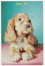 Vintage Postcard Blonde Cocker Spaniel Puppy Cutie Pie 1960&#39;s Dog Card - £5.45 GBP