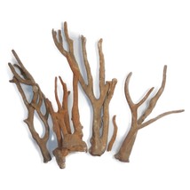 Dried Finger Sponge Pieces 8&quot; Beach Specimens Terrarium Building Branches - $4.99