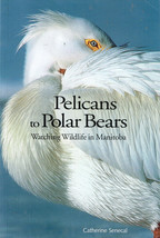 Pelicans to Polar Bears, Watching Wildlife in Manitoba by Catherine Senecal - £7.71 GBP