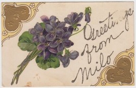 Milo Missouri MO Postcard Vintage Greetings From Violets - £2.33 GBP